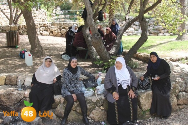 3emwas 0319 (55).JPG